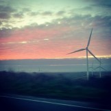 lazy vegan sustainability