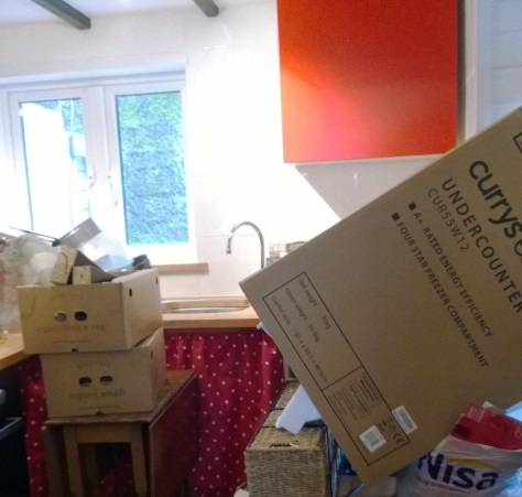 lazy house move packing 