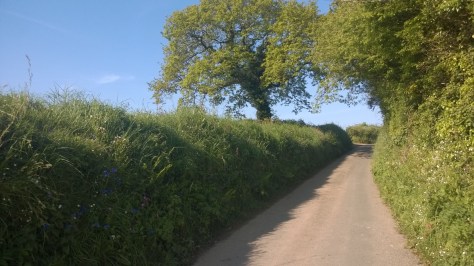 Cornwall Countryside communte