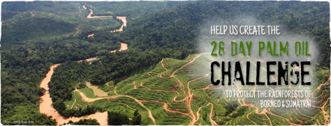 palm oil challenge 
