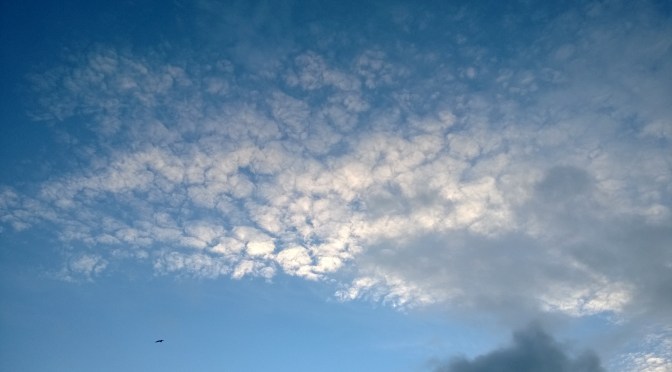 Lazy green washing cold water