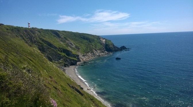world environment day in cornwall
