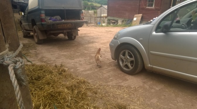 Exploring South Devon: Farms, Food, Family & Wine