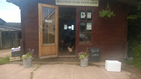 Bulleigh elm farm shop chicken