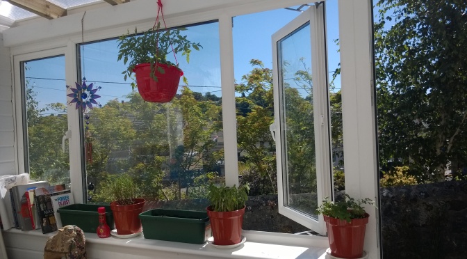 Lazy Indoor Gardening for the non green-fingered
