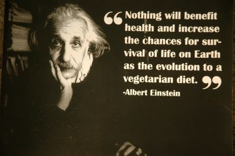 Albert einstein vegetarian quote 3