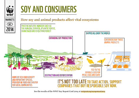 soy_and_consumers_infographic_471807