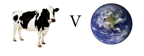vegan vs sustainability