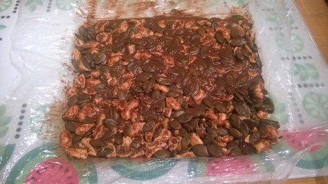 spiced orange seed thins