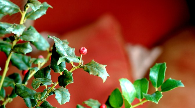 I’m Dreaming of a Green Christmas