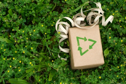 Eco friendly gift wrapped in recycled paper surround by green plants