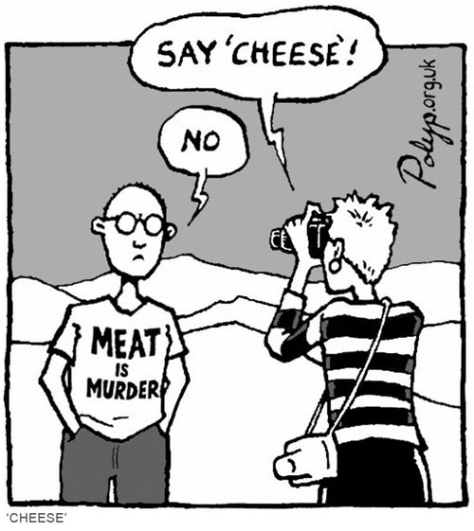 vegan-cheese