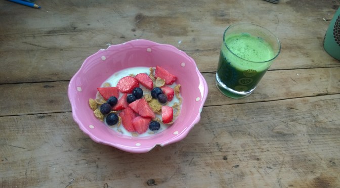 5 Things I Miss as a Vegan