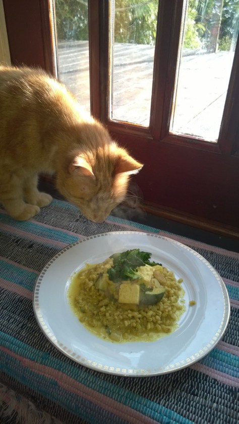 Even Mango loved its aroma!