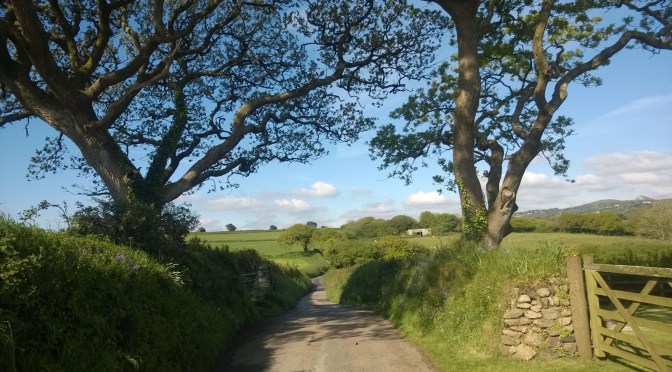 Find the Positives in Monday Morning: My Walk to Work