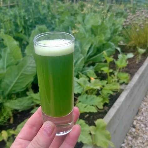 Juico UNO juicer green garden juice