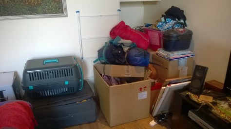 Everything I now own in the whole world, in just a few boxes!