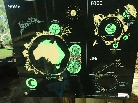 Fantastic informative signs give you more info on the habitats, characteristics and tips on helping each animal