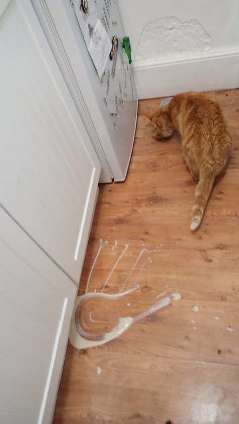 Vegan Chocolate Chai Cheesecake 