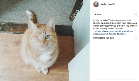 screen-shot-2016-10-20-at-16-26-14